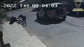 لحظه تصادف وحشتناک سارق با کامیون (16+)