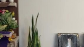 تنظیم دفترچه عقدنامه و صیغه نامه در مشهد