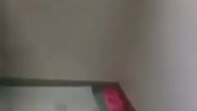 تصاویر جدید از «پیروز» تنها توله باقی‌مانده از ایران