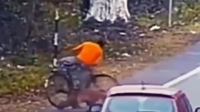 حمله یک ببر به دوچرخه‌ سوار بی‌خیال