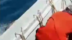 عاملان پرت کردن دام‌ ها در دریا دستگیر شدند