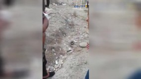 تصادف شدید پژو ۲۰۷ با گله شتر در بندرعباس