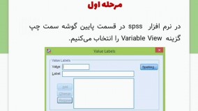 نحوه ورود دیتا در نرم افزار SPSS