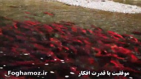 آیا خداوند، پارتی بازی میکند؟ پس چرا برخی ثروتمند و برخی فقیر هستند؟