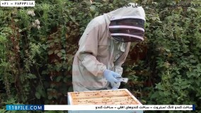 پرورش زنبور عسل  - دانلود زنبورداری - ملکه ی جدید کندو