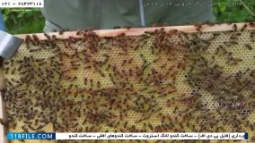 پرورش زنبور عسل  - پرورش ملکه به روش میلر - آپدیت دسته با تکان دادن
