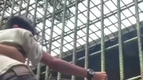 حیوانات را زندانی کنید ، این اتفاق می‌افتد !