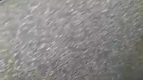 فروش دستگاه /  چسب / پودر / مواد اولیه مخمل