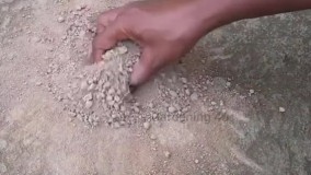 قلمه زنی و تکثیر گل یاس کرپ