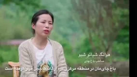 چهار فصل در شیانگ یانگ _طعم همیشگی بهار با فناوری هوشمند