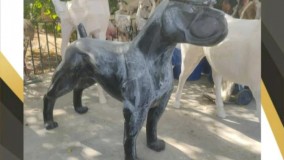 فروش عمده مجسمه سگ فایبرگلاس  | مجسمه سگ نگهبان برای محوطه حیاط | باغ تالار
