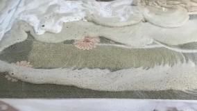 شرکت قالیشویی تهران | قالیشویی تهران جم