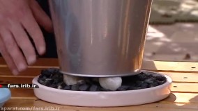 نگهداری و پرورش گیاه " ایکیما فاسکیاتا "