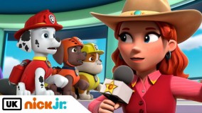 کارتون سگهای نگهبان | در نمایش بازی مشکلی وجود دارد