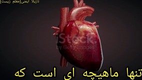انیمیشن جالب از تپش قلب!