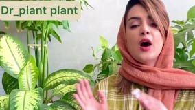 یبار برای همیشه مشکلاتت رو با دیفن باخیا حل کن