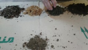 آموزش درست کردن خاک گلهای آپارتمانی / چه خاکی برای گلها مناسب است