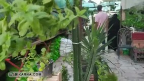 مصاحبه آموزشی درباره هزینه راه اندازی کسب و کار گل فروشی