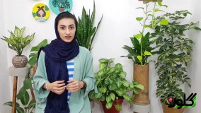 انواع خاک مناسب هر گیاه و کاربرد آن‌ها