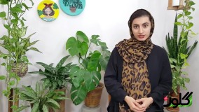 با این سه روش رطوبت گل و گیاهتان را تامین کنید