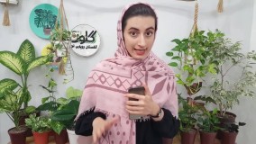 گیاهان آپارتمانی: ۹ اشتباه رایج و پرتکرار در نگهداری گل و گیاه