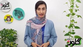 راه پیشگیری و از بین بردن پشه گلدان