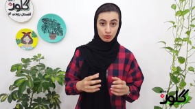 همه چیز درباره آبیاری اصولی گیاهان آپارتمانی