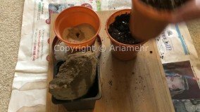 Watering Plants - آموزش آبیاری گیاهان