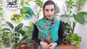 چه زمانی و چطور گلدان گل و گیاهم رو عوض کنم