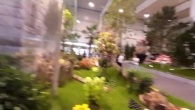 جشنواره بین المللی گل و گیاه در شهر زیبای تولن کشور اتریش