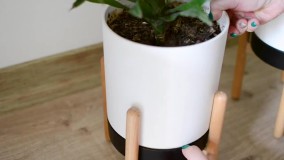 روش نگهداری من از ۲۰ تا گیاه آپارتمانی که دارم | taking care of houseplants| Diba’s dream