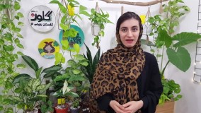 عوامل توقف رشد گل و گیاه آپارتمانی