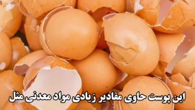 چگونه رشد گیاهان آپارتمانی روافزایش دهیم:چندروش فوق العاده برای رشدگیاهان آپارتمان