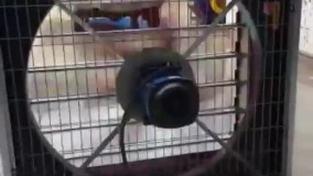 طراحی و اجرا انواع فن سانتریفیوژ گل خانه ای در بوشهر