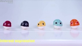 برد ماهیگیری