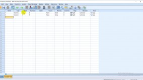 وارد کردن داده در SPSS