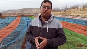 راهکار جلوگیری از حمله پرندگان به بذر نهال