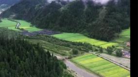 ثروتمند شدن در فلات از طریق کاشت قارچ