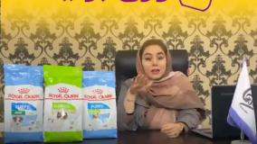 غذای سگ مخصوص نژادهای بسیار کوچک رویال کنین