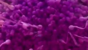 عظمت خداوند