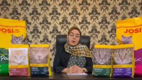 بررسی غذای گربه جوسرا پرمیوم و سوپرپرمیوم