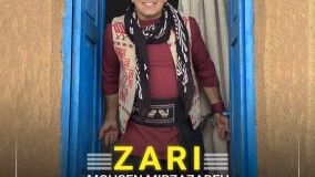 Mohsen Mirzazadeh - Zari
