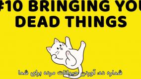 پانزده رفتار عجیب در گربه ها