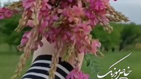 آذری نارینجا باخ نارینجا