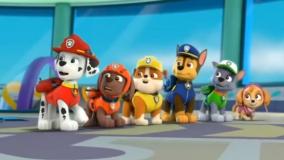 سگ های نگهبان - گشت الکس