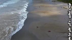 حسادت عجیب غریب آدما