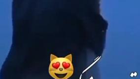 آهنگ غمگین - آهنگ عاشقانه - کلیپ عاشقانه - آهنگ جدید