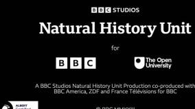 مستند سیاره زمین 3 - قسمت 3 - Planet Earth 3