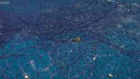 مستند سیاره زمین 3 - قسمت 2 - Planet Earth 3