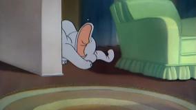 کارتون تام و جری/  انیمیشن تام و جری